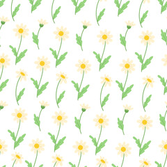 Seamless Pattern of White Daisies with Green Leaves on a White Background