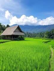 Obraz premium Serene Cottage Amidst Verdant Rice Terraces - Tranquil cottage nestled in lush green rice paddies, symbolizing peace, nature, serenity, rural life, and harvest