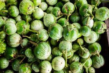 Fresh raw round eggplants (terong bulat or terong gelatik) displayed, featuring their smooth purple and green skin, firm texture, and small size, commonly used in Asian cuisine