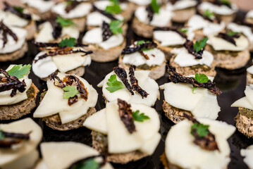 Elegant appetizers featuring artisanal bread creamy cheese savory toppings and a touch of fresh herbs