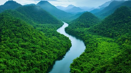 Winding River Through Lush Green Rainforest Valleys and Mountains
