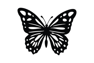 butterfly vector icon,  butterfly vector illustration, Butterfly Illustration Vector Art, Isolated on White Background