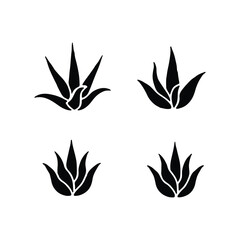  aloe vera icons, black and white silhouettes, simple plant illustrations 