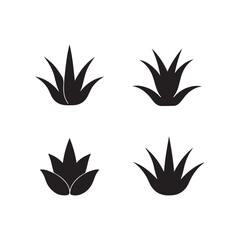  aloe vera icons, black and white silhouettes, simple plant illustrations 
