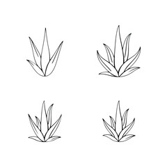  aloe vera icons, black and white silhouettes, simple plant illustrations 