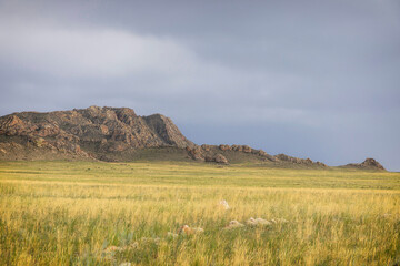 Obraz premium Nature of Eastern Siberia. Ubsunur basin. Republic of Tuva. Russia