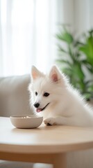 A fluffy white dog sits at a wooden table, eagerly waiting for its meal. The bright room features plants, creating a warm and inviting atmosphere