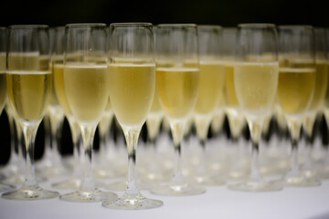 Rows of champagne glasses filled with sparkling wine for a celebration