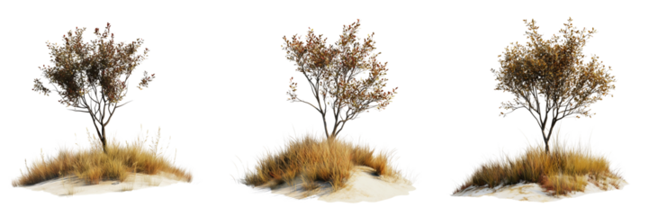 Set of Close-up of Multi-Tourmaline Gemstones resting on a bed of golden autumn leaves and dry grass on transparent png background. Ai generated