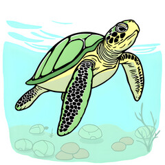 Sea Turtle's Graceful Glide