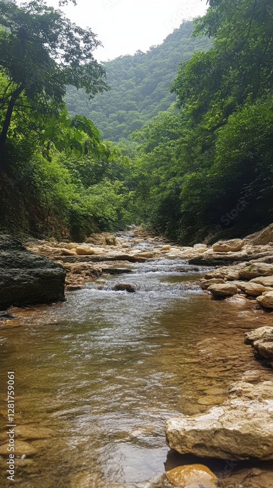 Poster serene river flowing through a lush green forest with rocks and trees creating a peaceful nature sce