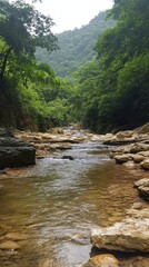 Serene river flowing through a lush green forest with rocks and trees creating a peaceful nature scene in vertical format