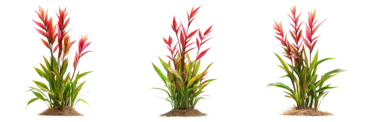 Set of A vibrant plastic aquarium plant decoration with multi-tourmaline gemstones in a fish tank on transparent png background. Ai generated