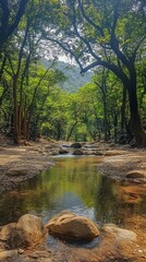 Tranquil forest stream with sunlight filtering through lush green trees and rocks creating a peaceful and serene nature scene with a low angle view