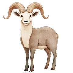 Detailed Portrait of a Bighorn Sheep with Distinctive Curved Horns Captured in a Natural Environment