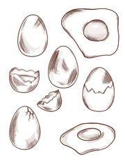 Hand-drawn linear illustration of eggs. Whole, broken, and various eggs in a minimalistic outline style. Perfect for food, nutrition, and farm-themed designs.