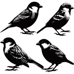 Sparrow Bird Silhouettes