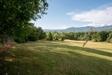 golf course in the morning
