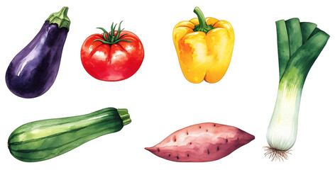 Collection of hand-drawn vegetables: aubergines, tomatoes, bell peppers, zucchini, onions, sweet potato, rocket, and leek. Watercolor, PNG