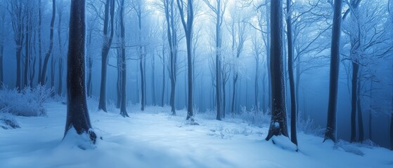 Naklejka premium A mystical winter forest draped in thick snow, shrouded in a bluish haze adding an ethereal feel to the scene.