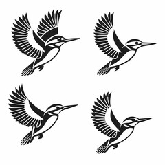 Fototapeta premium set of birds