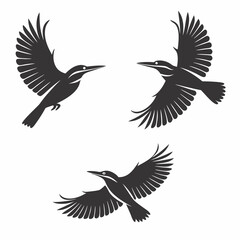 set of birds