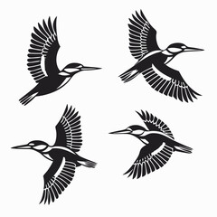 Obraz premium set of birds