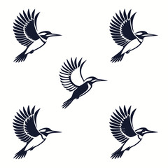 Obraz premium set of birds