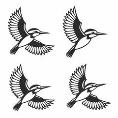 Obraz premium set of birds