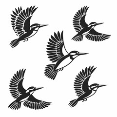Obraz premium set of birds