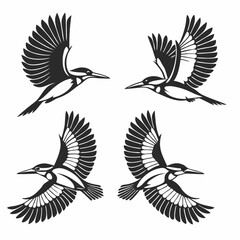 Obraz premium set of birds