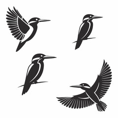 set of birds
