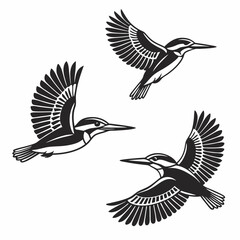 set of birds
