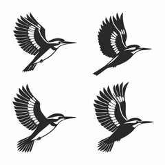 Fototapeta premium set of birds