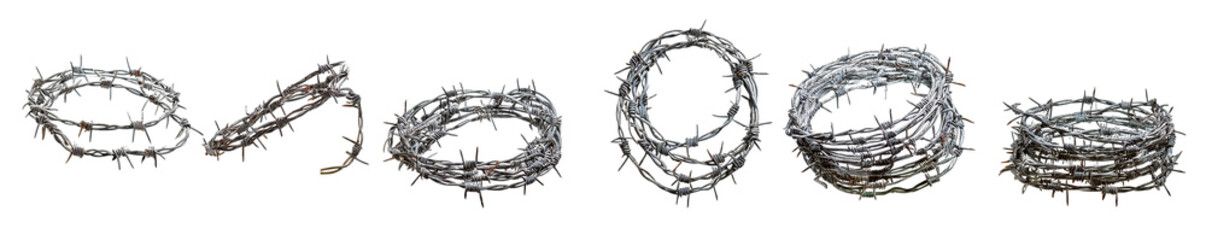 Fototapeta premium Thorny Crown of Jesus