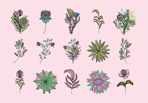 Colorful Leaves Branches Floral Botanical Illustration Set