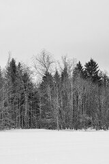 Winter photography along Kronborgsetergrenda of rural Toten, Norway, in February 2025.