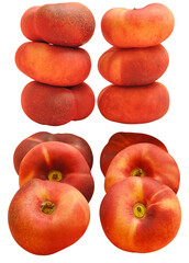 columns and lines of nectarine