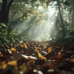 Forest path, autumn leaves, sunlight, misty morning