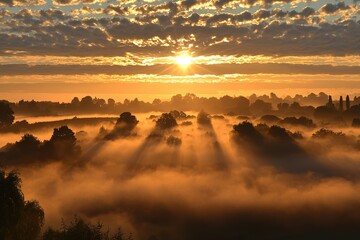 Obraz premium Golden sunrise casts warm light over a misty forest, creating a serene atmosphere, with sunlight piercing through the trees and clouds, painting the landscape in vibrant hues.