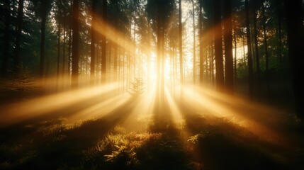 A captivating forest scene where beams of sunlight filter through the trees, creating a magical atmosphere filled with shadows and golden hues on the forest floor.