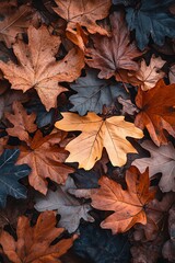 Autumn leaves ground cover fall background