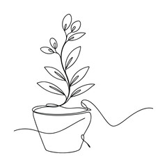 Single Line Drawing of Plant in Pot, Minimalist Botanical Art