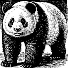 abstract illustration of a panda © yayan