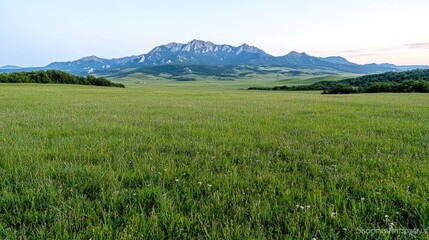 Fototapeta premium Mountain range vista, green field, sunrise, calm background, travel poster