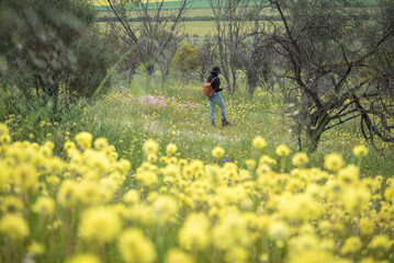 Woman walking in field of yellow wildflowers in Western Australia