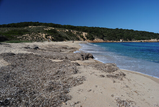 La spiaggia di Cala di Trana
