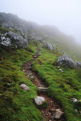 Obraz premium Foggy Mountain Path Trail Hiking Landscape Nature Scenery Misty Weather Outdoor Green Rocks Tranquil Scenic Travel Adventure Peaceful Calm Remote Hiking Trail Mountain Landscape Foggy Path Nature Scen
