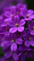 Obraz premium Eye-Catching Phone Wallpapers to Brighten Your Screen