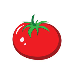 Tomato Illustration
